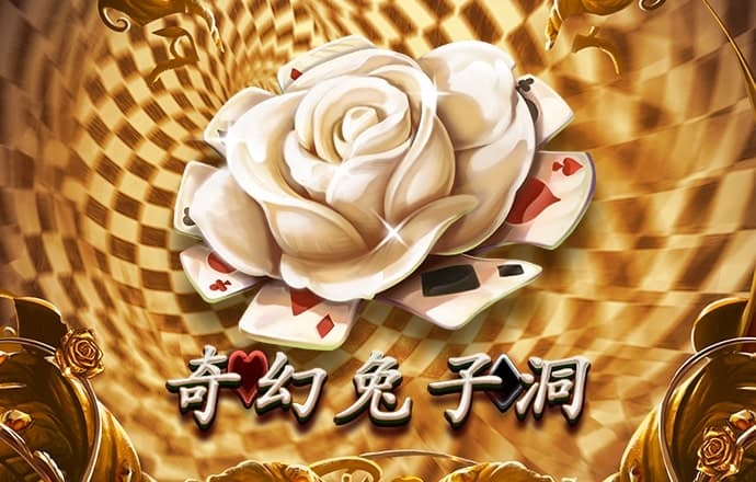 中欧体育kok下载